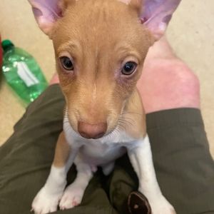 Meet your Posher, Jeff